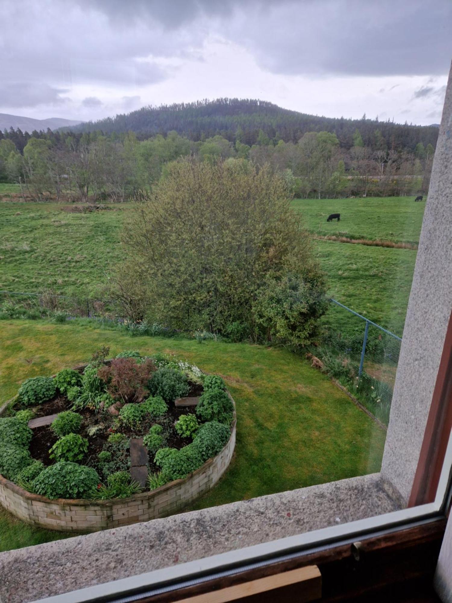 Creag Meggan Bed & Breakfast Ballater Room photo